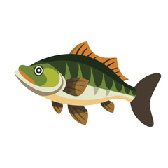 Largemouth bass pike animal isolated flat vector illustration on white background