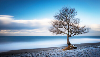 The dance of clouds, the flow of water, and the play of light all capture the passage of time, while a solitary tree stands witness.