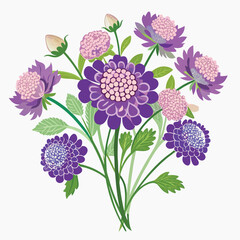 Floral Bunch with Scabiosa Vector Illustration on White Background in Elegant Line Art Style