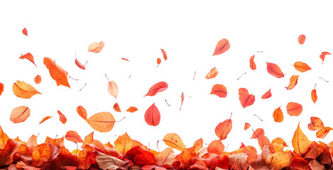 Autumn Leaves Falling Against Transparent Background