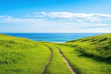Green grass lawn in summer with road leading to beach and ocean horizon