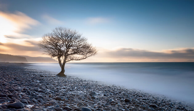 The dance of clouds, the flow of water, and the play of light all capture the passage of time, while a solitary tree stands witness.