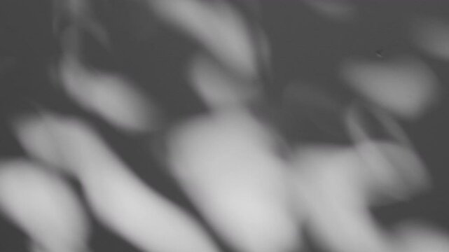 Wall interior background, studio and backdrops show products.with shadow from window color white and grey. background for text insertion and presentation product	