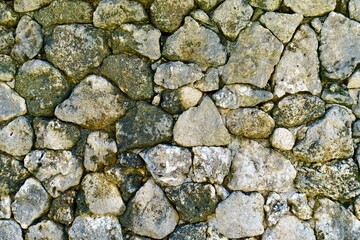 石垣島の石垣