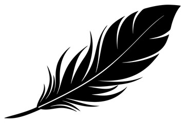 Beautiful feathers vector silhouette | vector silhouette illustration on white background