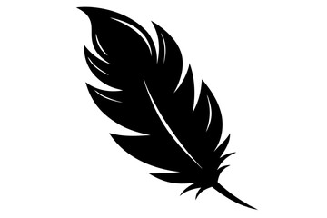 Beautiful feathers vector silhouette | vector silhouette illustration on white background