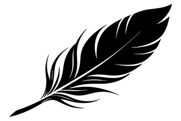 Beautiful feathers vector silhouette | vector silhouette illustration on white background