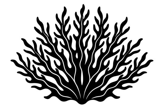 recommend clip art: seaweed  silhouette icon style white background