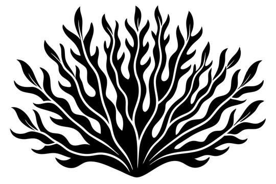 recommend clip art: seaweed  silhouette icon style white background