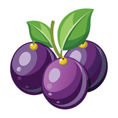 Jamun vector illustration isolated on a white background