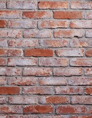 Fototapeta premium red brick wall