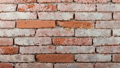 Obraz premium brick background