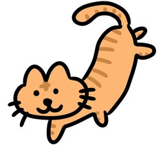 cartoon cat, illustration on white background
