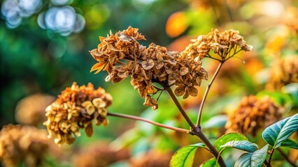 Forced perspective of drying leaves on plant branches