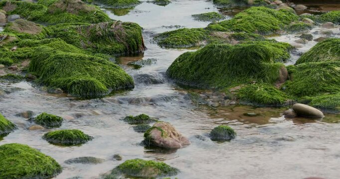 close up shot of Water from Rottington beck flowing onto the beach at Saint bees seafront at low tide, West lake district. West lake district