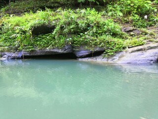 waterfall in the forest