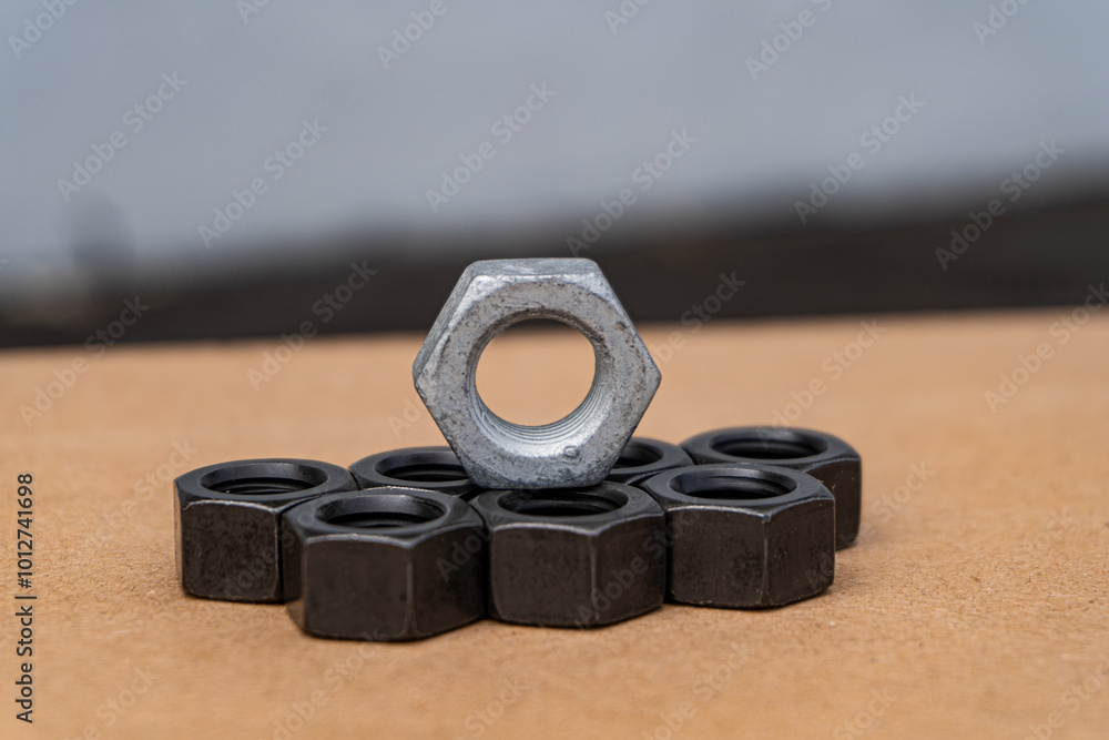 Wall mural bolt nut and bolt