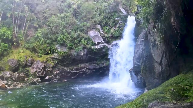 Wainui Falls surrounded by native bush of nikau palms, rata trees and ferns, the largest falls in Golden Bay, Abel Tasman National Park near Takaka, New Zealand