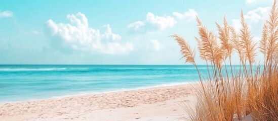 Coastal Serenity: A Beach Scene with Golden Grass