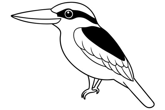 recommend clip art: kingfisher line art vector art illustration 