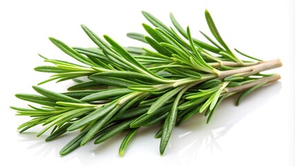 Fototapeta premium Fresh rosemary herb leaves isolated on white background, close-up
