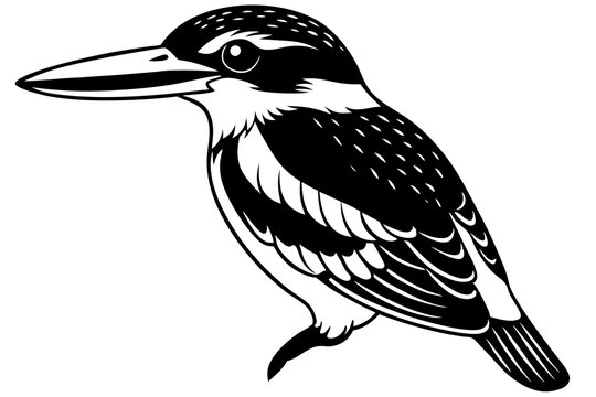 recommend clip art: Cute kingfisher Bird halcyon senegalensis salute vector art illustration