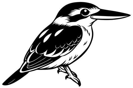 recommend clip art: Cute kingfisher Bird halcyon senegalensis salute vector art illustration