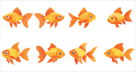 Colorful goldfish illustration. Set of goldfish vector. Aquarium decorative goldfish vector. Tropical goldfish vector collection. Set of aquarium fish vector