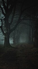 A fog-shrouded forest path lined with dark, twisted trees, creating a mysterious and eerie atmosphere under the dim, muted light.