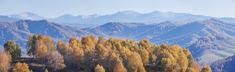 Panoramic fall view, mountain scenery, snow-capped peaks and forest, indian summer