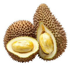 Obraz premium Durian fruit . close up 