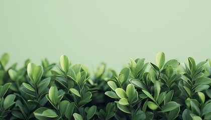 Fototapeta premium Vibrant green leaves against a soft green background, ideal for nature-themed designs.