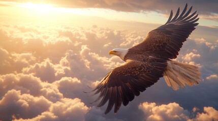 Fototapeta premium Bald Eagle Soaring Above Clouds
