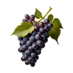 Obraz premium bunch of grapes with transparent background PNG and JPEG image 