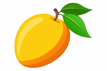 Mango fresh fruit vector art illustration