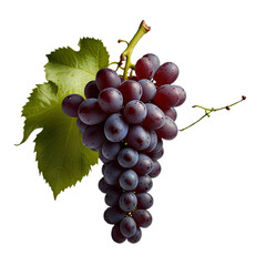 Fototapeta premium bunch of grapes with transparent background PNG and JPEG image