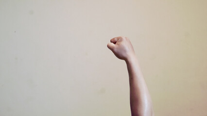 Fototapeta premium Raised fist symbolizing strength and unity, ideal for activism or protestthemed designs on lightcolored backgrounds.