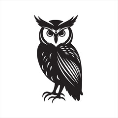 owl vector illustration