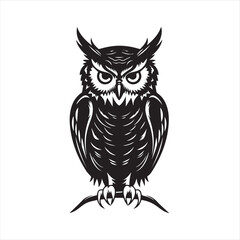 owl vector illustration