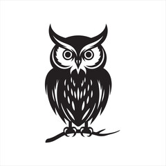 owl vector illustration