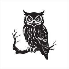 owl vector illustration