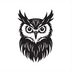 owl vector illustration