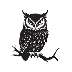 owl vector illustration