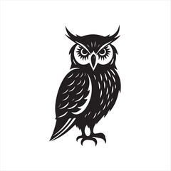 owl vector illustration