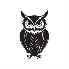 owl vector illustration