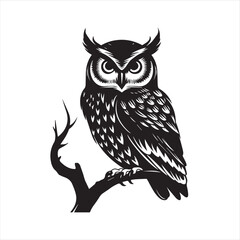 owl vector illustration
