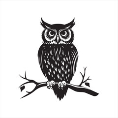 owl vector illustration