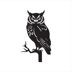 Fototapeta premium owl vector illustration