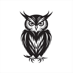 owl vector illustration