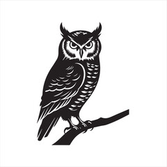 owl vector illustration